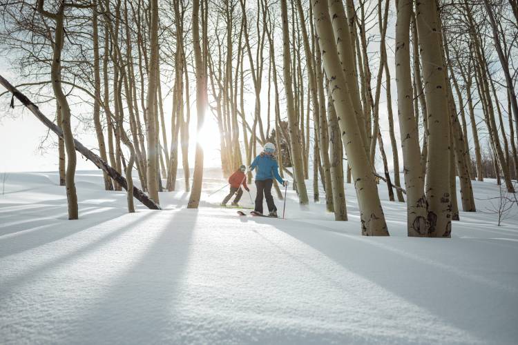 Skiing powder at Beaver Creek