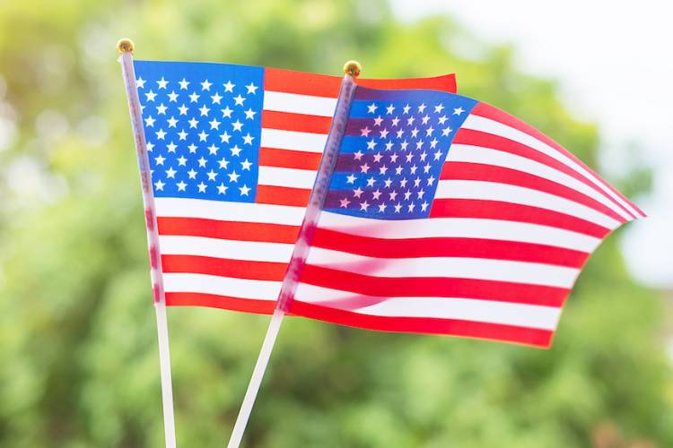 American Flag in the trees