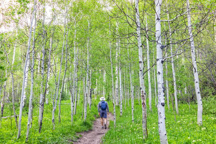 Hiking in Vail Valley