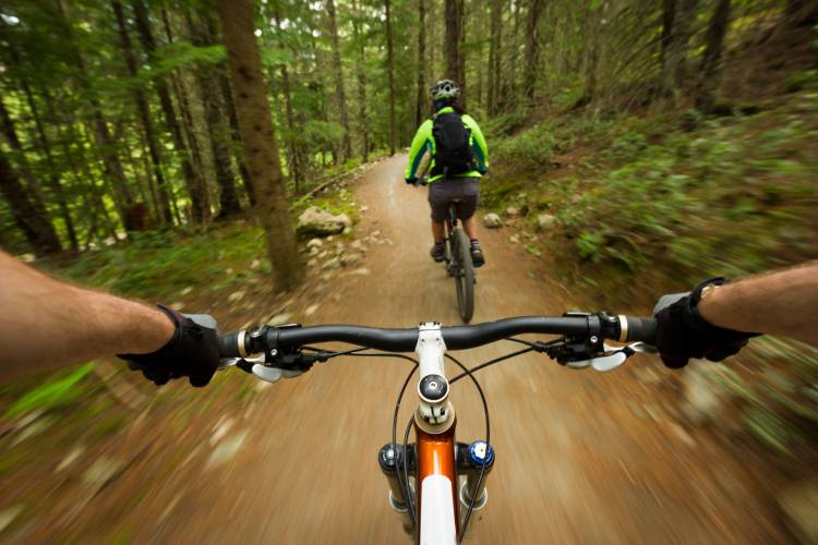 Mountain Biking in Vail Colorado