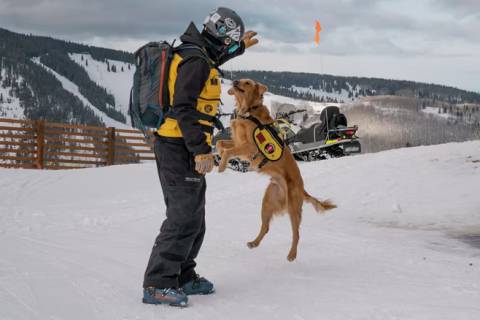 Meet & Greet the Pawtrol Dogs at Beaver Creek, Colorado