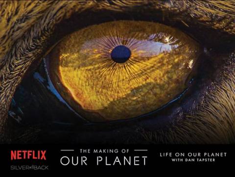 Netflix's the Making of Our Planet: Life on Our Planet in Beaver Creek, CO
